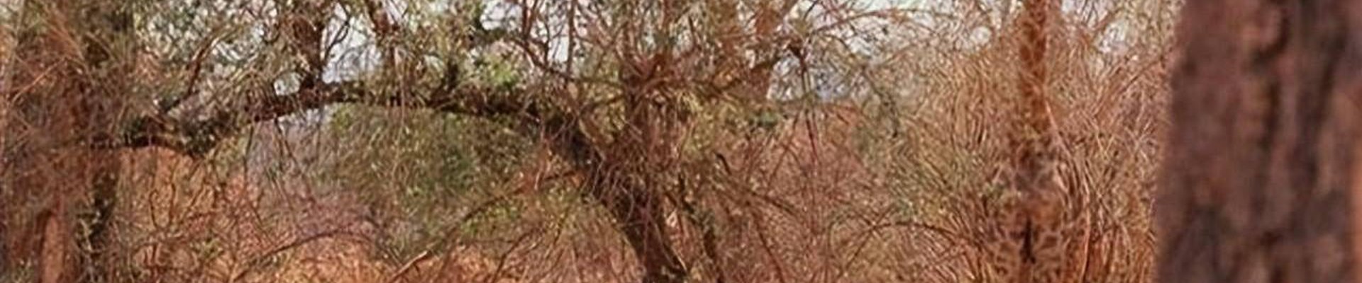 球盟会官网入口简介